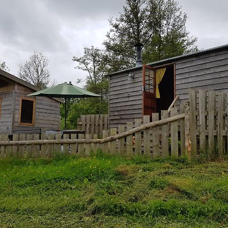 Foxglove Accommodation Craven Arms Exteriér fotografie
