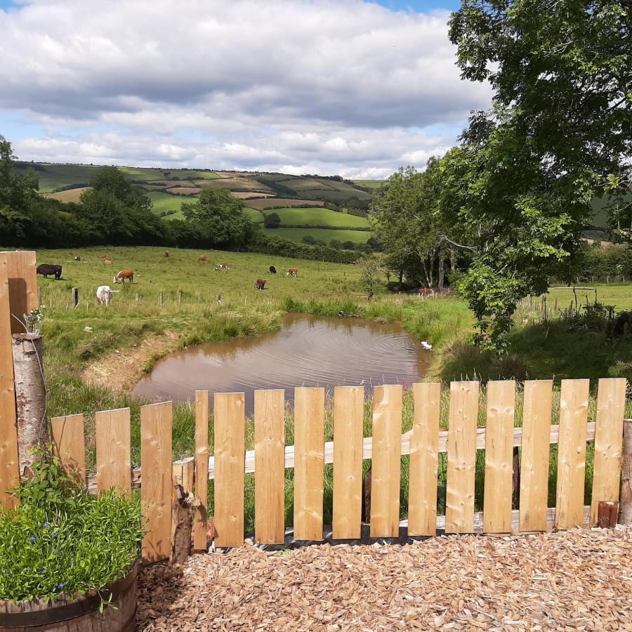 Foxglove Accommodation Craven Arms Exteriér fotografie