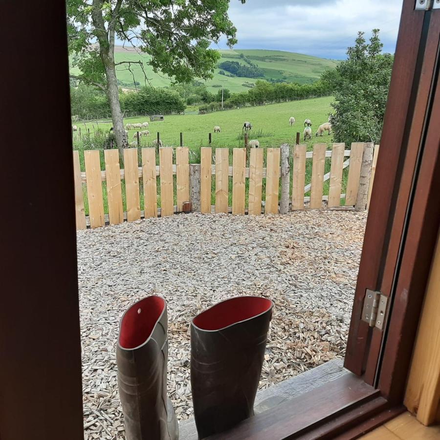 Foxglove Accommodation Craven Arms Exteriér fotografie