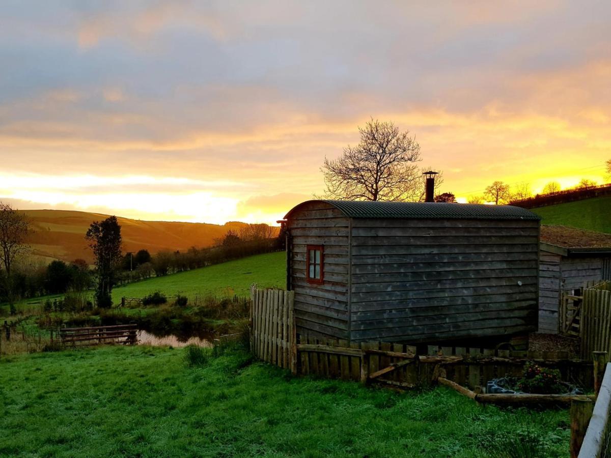 Foxglove Accommodation Craven Arms Exteriér fotografie